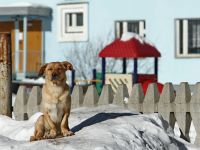 Весна пришла...