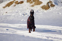 На прогулке