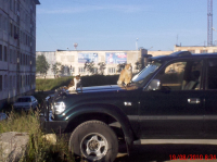 Хозяева двора )