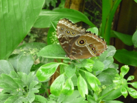 Скоро лето:))