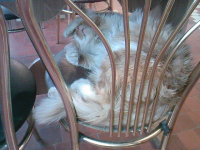 Что еще надо?