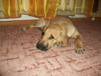 потеряшка :((((