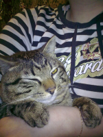 Таким он стал и пропал....