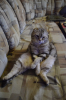 Всем иногда бывает грустно...