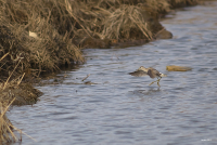 цыганочка с выходом )