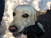 Моя бутылочка)