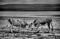 Битва Титанов - Байкал 2011