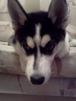 Эрхан... мой сладусик!)))