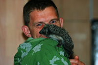 друг маленьких ежей )