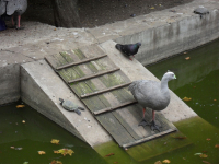 трое в...не считая...