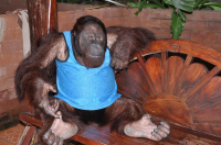 Ну мы разговаривать будем или нет???