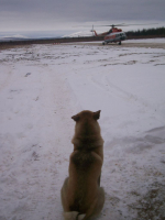 В добрый путь