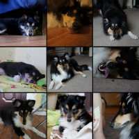 моя любимая