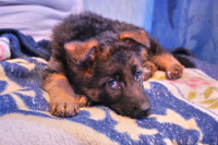 Моё маленькое чудо =)