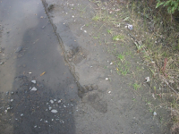 Миша гулял.