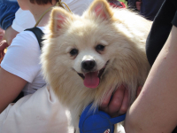 Улыбаааака)))