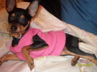 Легла устала !!!!