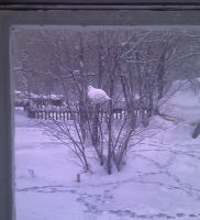 А кто живет на вашем заднем дворе?:)