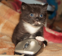 Познаем мир)))