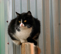 компактненько