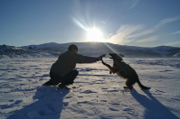 На прогулке