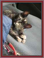 Водолеям посвящается!