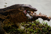 что-то вкусненькое))