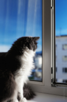 Размышления..