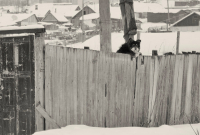 Ну что сосед, заходи поговорим...