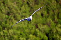 на бреющем...