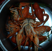 раки ждут пива