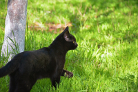 место для шага вперед...