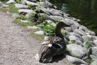 Все на отдыхе