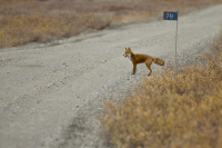 ну и где этот долбаный автобус