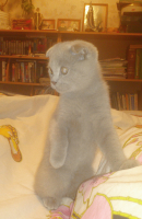 -Кто здесь?-2