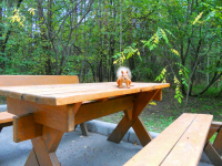 А кто тут у нас смотрит???