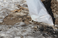 Бурундушка. ^_^