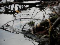 Приглядеться к деталям...