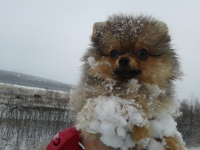 А тут мы уже привыкли к снежку =)