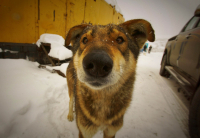 По имени Бумер