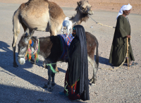 прогулка с питомцами)))