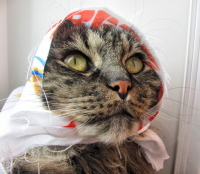 Колхозница