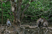 правда жизни