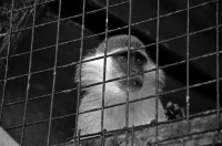 как не проси......