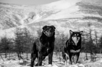 А в этом месте по другому не прожить.....