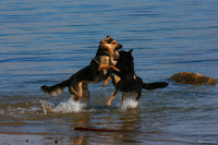 Выяснение отношений