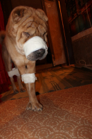 Пора купаться)