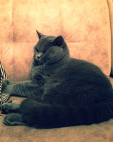 Моя крошка )))