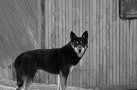 Каждому свое.....