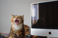 Весело у вас тут...